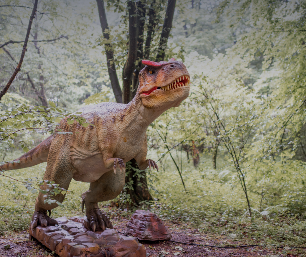 ПАРК РОЗВАГ «УРУРУ»