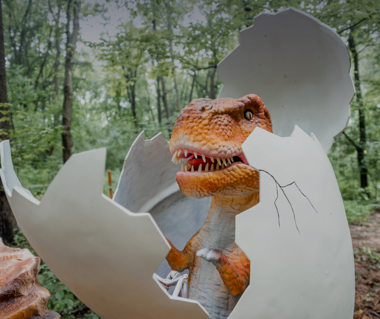 ПАРК РОЗВАГ «УРУРУ»