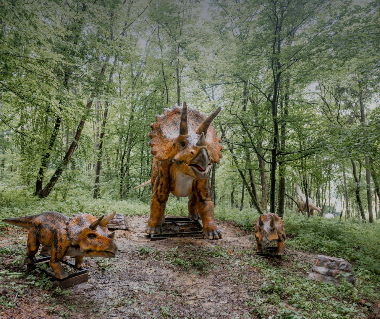 ПАРК РОЗВАГ «УРУРУ»