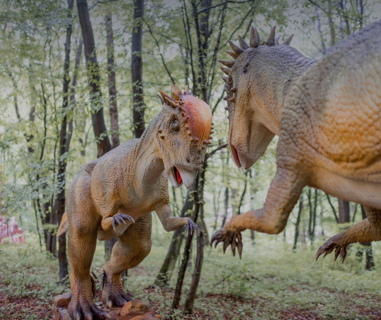 ПАРК РОЗВАГ «УРУРУ»